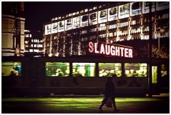 slaughter.jpg