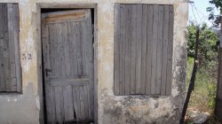 DSC00528.jpg