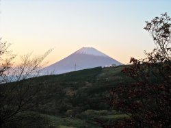 fuji.jpg
