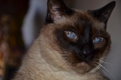 DSC_0025.jpg