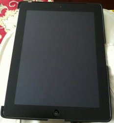 IMG_0256.jpg