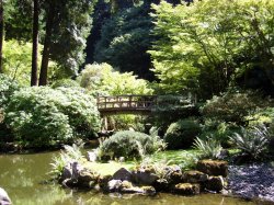 Seattle garden.jpg