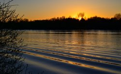 DSC_1366.jpg