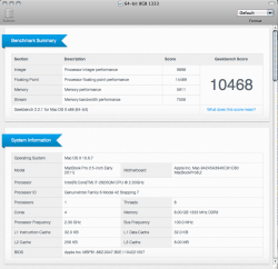 1333 Overview Screenshot.png