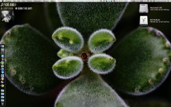 Screen shot 2011-05-20 at 6.35.18 PM.jpg