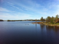 IMG_0259.jpg