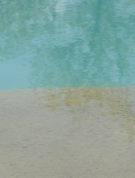 zoo_water.jpeg