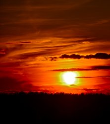 DSC_1487.jpg