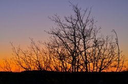 DSC_1402.jpg