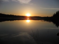 IMG_2394.JPG