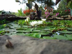 science and children 005.jpg