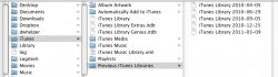 itunes folder.jpg