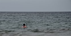 DSC_0503.jpg