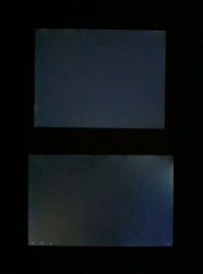 ImageUploadedByTapatalk1307426227.186984.jpg