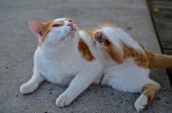 DSC_2561.jpg