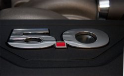 Mustang-5.jpg