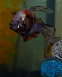 DSC_2965.jpg