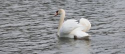 DSC_0197.jpg