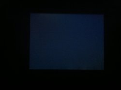 photo.JPG