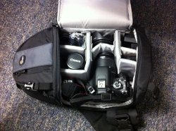 IMG_0181.jpg