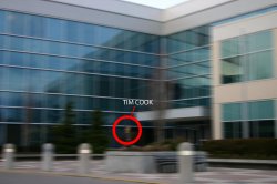 tim_cook_spotted.jpg