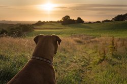 August 05 For Web.jpg