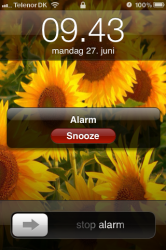 foto.PNG