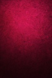 IMG_0300.JPG