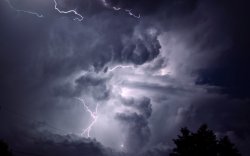 DSC_3911.jpg