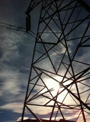 IMG_1068.jpg