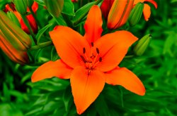 DSC_4058.jpg