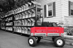 RedWagon (1).jpg