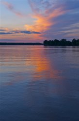 DSC_4400.jpg