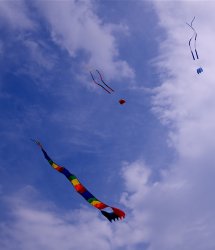 DSC_4497.jpg