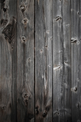 Wood-knots.png