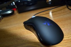 mouse.jpg