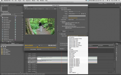 Screen shot 2011-07-12 at 2.20.19 PM.png
