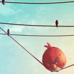 angry-bird-ipad-wallpapers-02.jpg