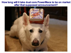 dog.png