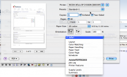 LionPrintScheduler.png