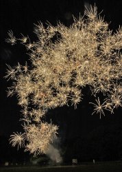 GUCI 7-4-11-01-resize 2.jpg