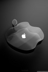 20110618053418515.jpg