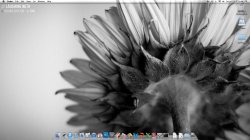 Screen Shot 2011-07-23 at 1.13.54 AM.jpg