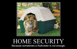 Lion-Security.png