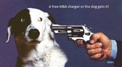 kill this dog.jpg