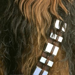 chewbacca_f1_1024x1024.jpg