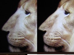 sidebyside2.jpg