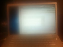 photo.JPG