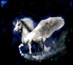 003_pegasus.jpg