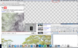 Screen Shot.png